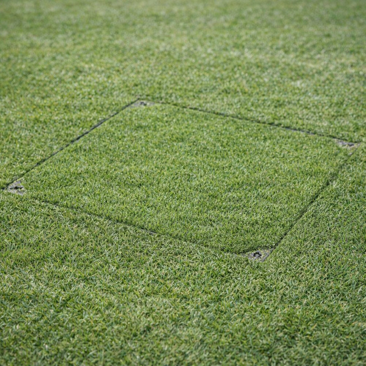 600 x 600mm Grass & Gravel Recessed Manhole Cover 10 Tonne