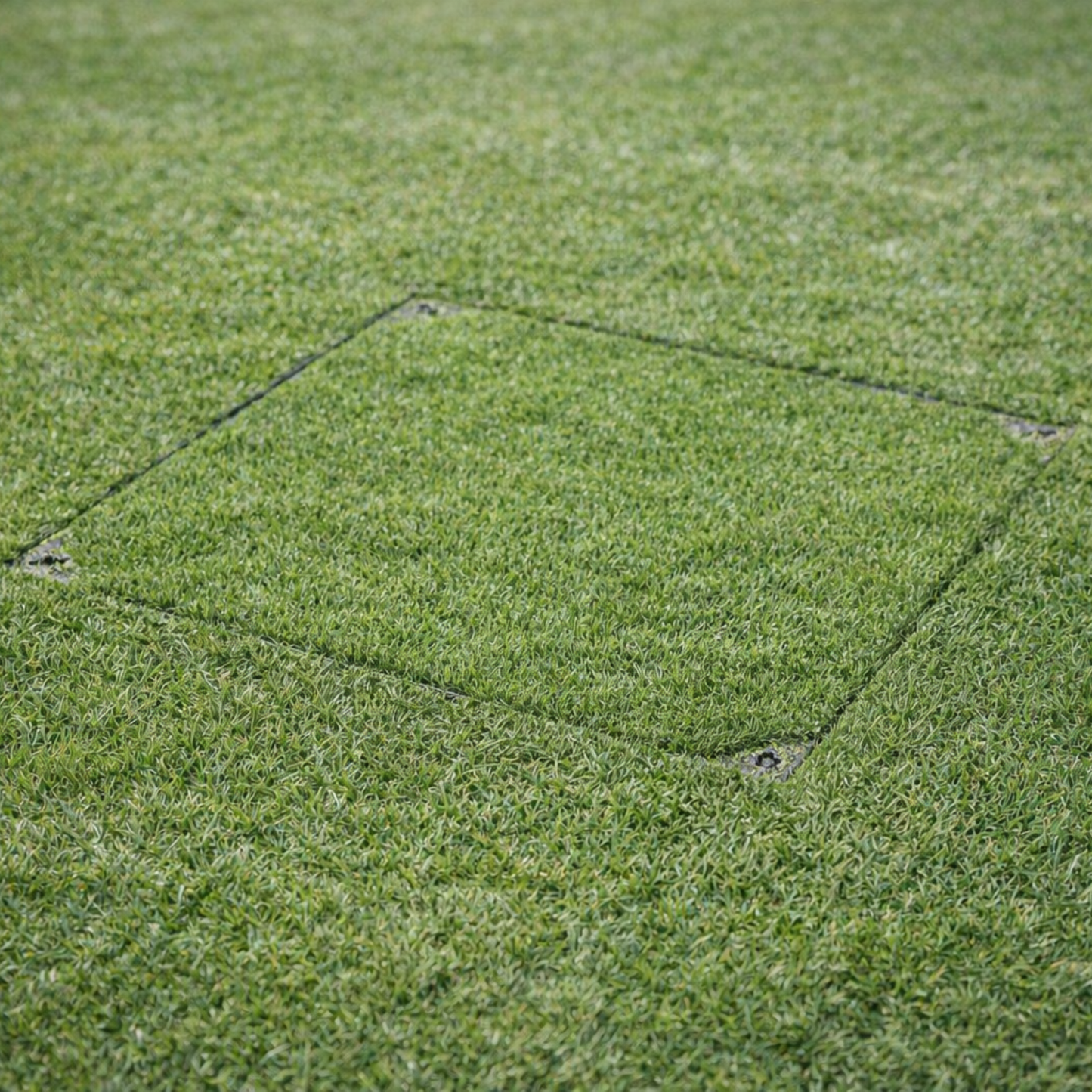 300 x 300mm Grass & Gravel Recessed Manhole Cover 3.5 Tonne