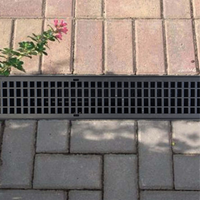 Threshold Channel Drain Accessories with Black Mesh Grating A15